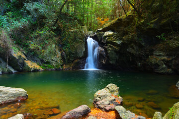 仙厳の滝　静岡県浜松市