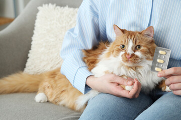 Young woman with cat and anti-parasitic pills sitting on sofa at home, closeup