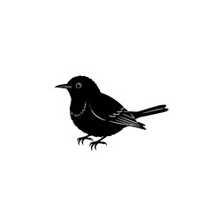 Obraz premium Black bird illustration