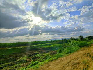 green field and blue sky