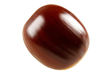 Close-up of glossy brown chestnut with smooth surface on white background