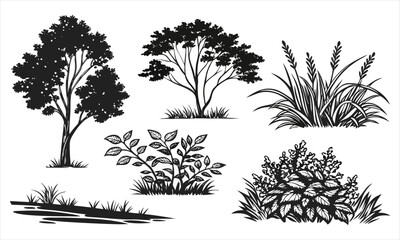 Obraz premium set of tree silhouettes