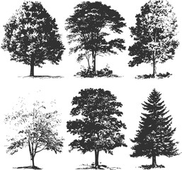Tree silhouettes sketch hand drawn set, various deciduous and coniferous trees — stock vector