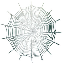Obraz premium Intricate spider web illustration showcasing nature's delicate design and engineering, perfect for themes of connection, trapping, or natural patterns with a minimalist aesthetic