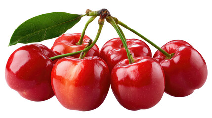 Vibrant Cherries in Full Bloom: A close-up captures the fresh, glistening allure of a cluster of perfectly ripe cherries, showcasing their natural beauty.