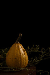 pumpkin on black