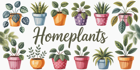 A visually appealing collection of home plants in different pots, showcasing their unique shapes and colors, perfect for enriching indoor spaces with vibrant greenery.