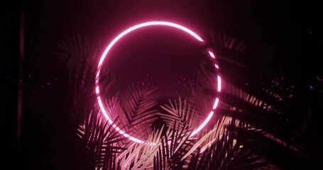 Fototapeta premium Glowing neon ring casting pink glow through palm leaves in studio, with scattered purple particles