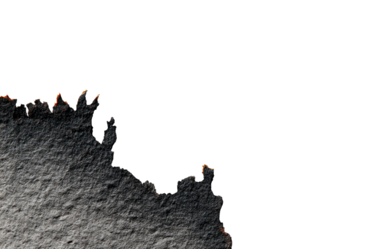 Burnt paper edge, close-up