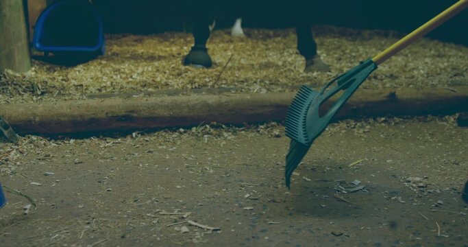 Gloved hand gathering shavings with plastic rake in stall, boots, horse hooves, bucket, copy space - Powered by Adobe