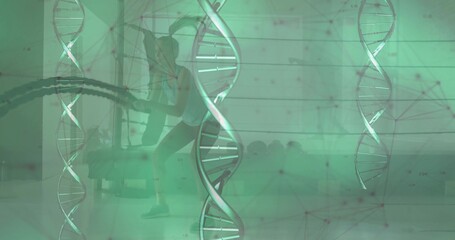 Gym partners pulling battle ropes inside fitness studio, with tractor tire, DNA overlay