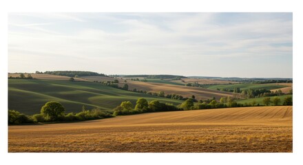 Rolling Hill Landscape with Fields and Trees