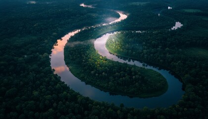 River Through Forest Aerial View