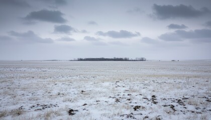 Winter Field with Distant Trees