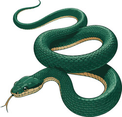 Fototapeta premium Full Body Snake Realistic Vector on White