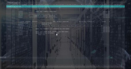IT professional executing SQL loop by typing commands on terminal overlay for processing order data - Powered by Adobe