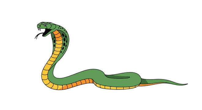 Cartoon cobra snake with raised hood, poised to strike in a stylized illustration against a plain white backdrop, featuring vibrant colors and bold