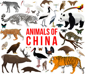 vector set - animals of china