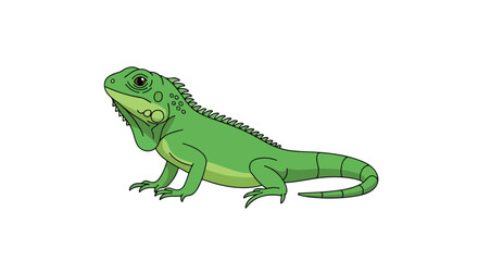 Obraz premium Cartoon iguana illustration showcasing vibrant green scales and a curious expression, isolated on a white background for educational purposes