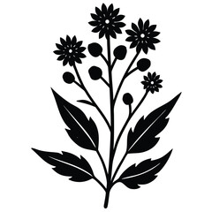 black and white flower