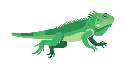 Obraz premium Green iguana illustration, a simple flat design that highlights its unique features, ideal for educational or creative projects needing animal