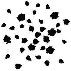 black and white flower