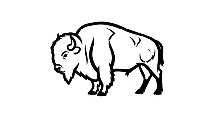 Fototapeta premium Outline bison silhouette
