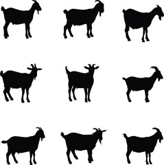 Collection of dairy goat silhouettes isolated on white background