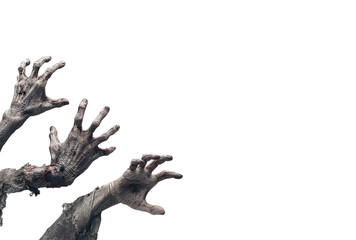 Zombie hands reaching from black background