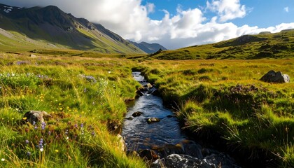 Mountain stream through meadow