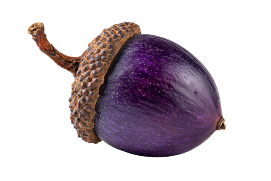 a purple acorn with a brown acorn on top