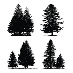 Fototapeta premium Collection of douglas fir tree silhouettes isolated on white background