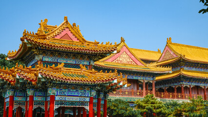 Naklejka premium Traditional Chinese temple in Penglai, Shandong, with red pillars, golden roofs, and ornate details, surrounded by lush greenery and a serene natural setting.
