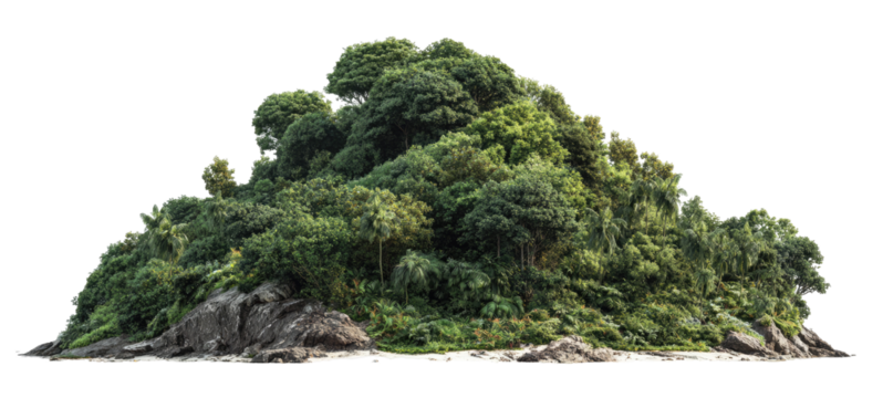 Lush island outcrop, densely vegetated
