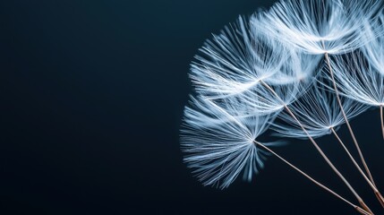 Delicate dandelion seeds drifting in the breeze
