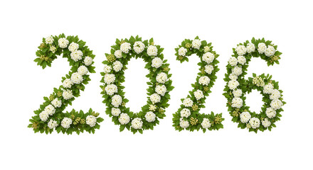 2026 numbers made from white flowers with green leaves on white background, floral composition perfect for spring and nature themes