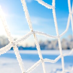 Frosty soccer net on a snowy day