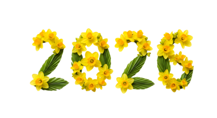 Yellow 2026 year made of spring daffodils and green leaves, springtime floral design, perfect for seasonal greetings and celebration cards