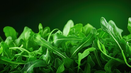 Fresh arugula leaves with vibrant green hues
