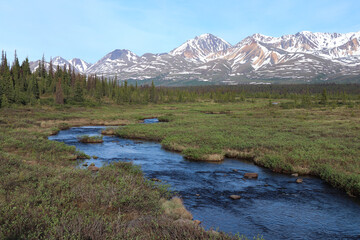 Alaska Range Landscape