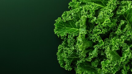 Fresh kale leaves on a dark green background