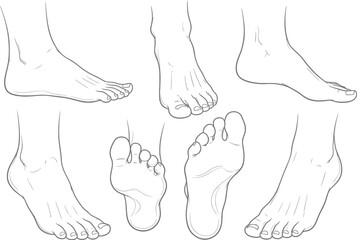 Collection of hand drawn line art sketches of human feet from various angles and perspectives