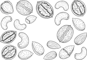 Collection of hand drawn sketchy illustrations of various nuts including walnuts cashews and almonds
