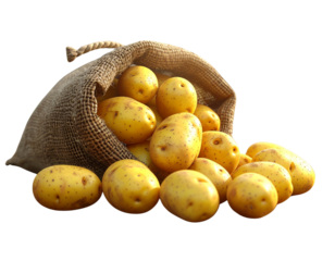 Fresh Potatoes in Burlap Sack Isolated on Transparent Background