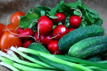 Fresh vegetables radish cucumber tomatoes