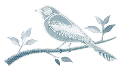 Stylized illustration of a bird perched on a branch with leaves against a black background