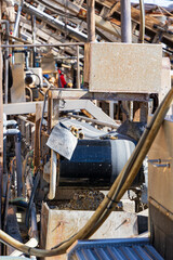 牡蠣の水揚げベルトコンベア