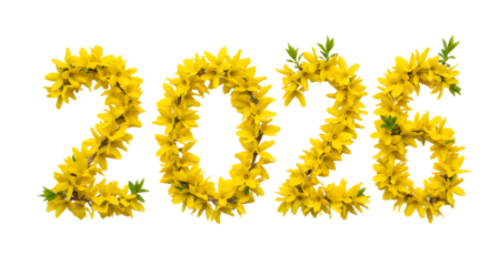 Yellow floral number 2026 made with forsythia flowers on transparent background, perfect for New Year or spring celebrations