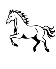 horse vector illustration