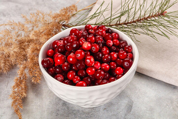Ripe sweet sour cranberry heap